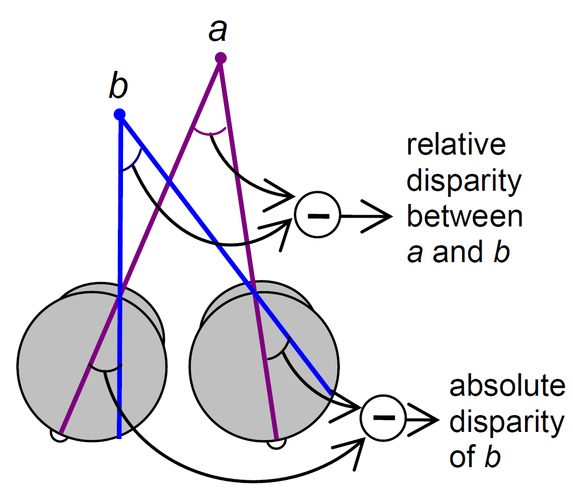 Definitions Of Relative Disparity Jenny Read